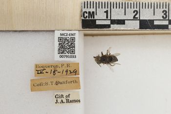 Media type: image;   Entomology 791033 Aspect: Labels